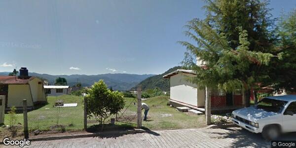 JEFATURA DE SECTOR DE EDUCACIÓN PRIMARIA 19